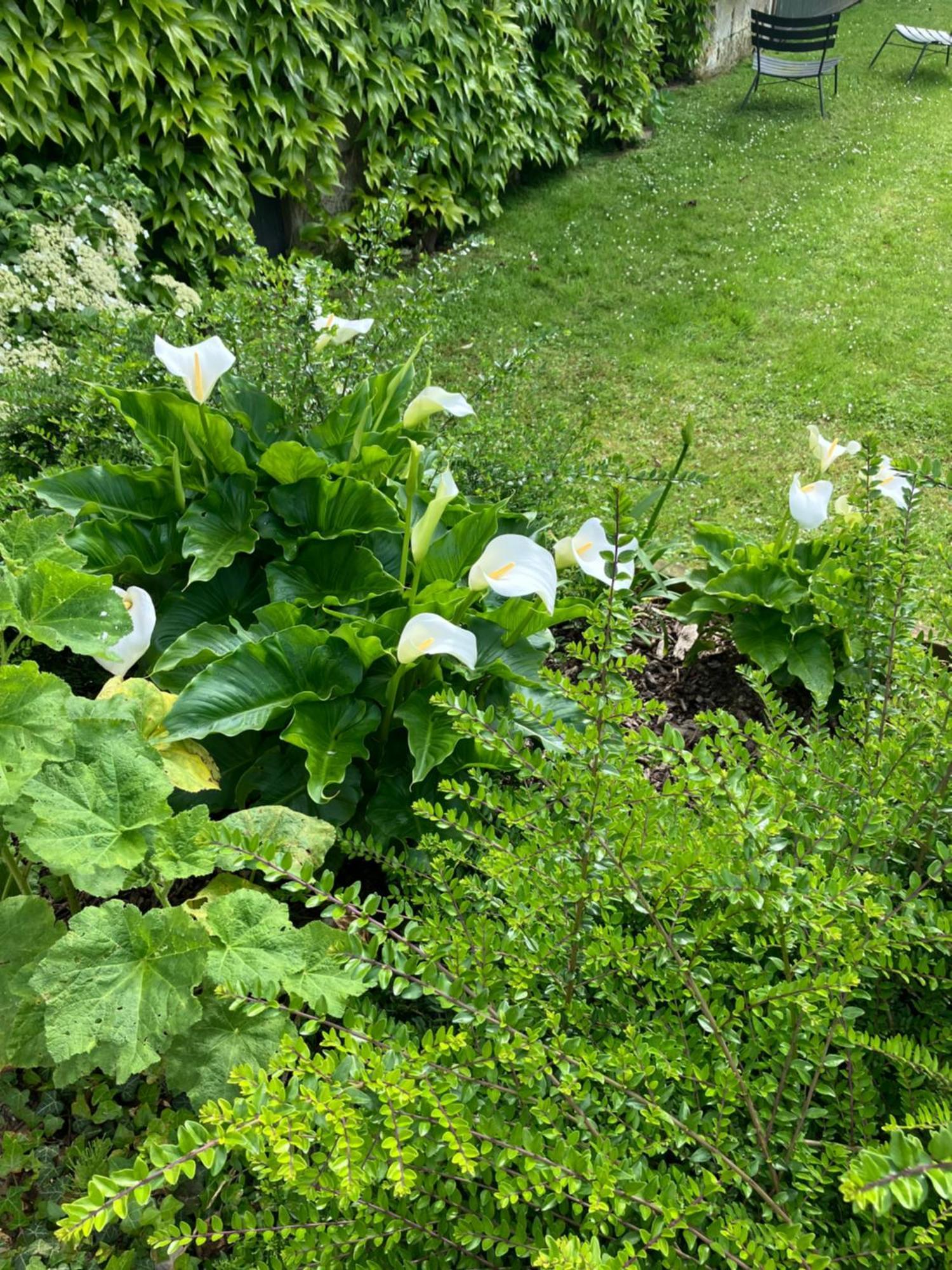 Frühstückspension La Ferme De Valeuse Morienval